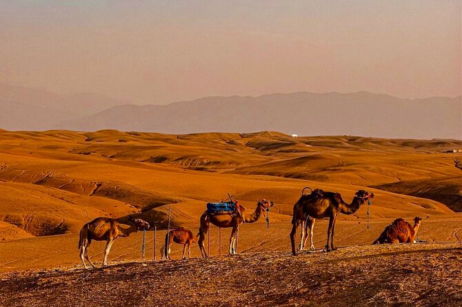 Marrakech Day Trip: Agafay Desert, Atlas Mountains and Camel Ride - Lunch in the Mountains, With Extra Cost