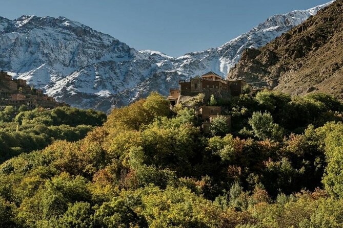Marrakech: Day Trip to ourika valley & Atlas Mountains - Key points to know before booking