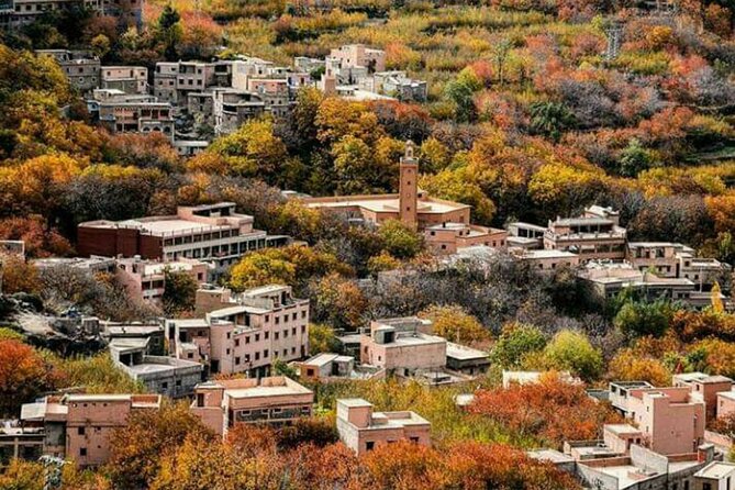 Marrakech: Day Trip to ourika valley & Atlas Mountains - Why the guide matters in the Atlas Mountains