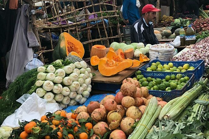 Marrakech: Day Trip to ourika valley & Atlas Mountains - Timing, pickup, and the long day