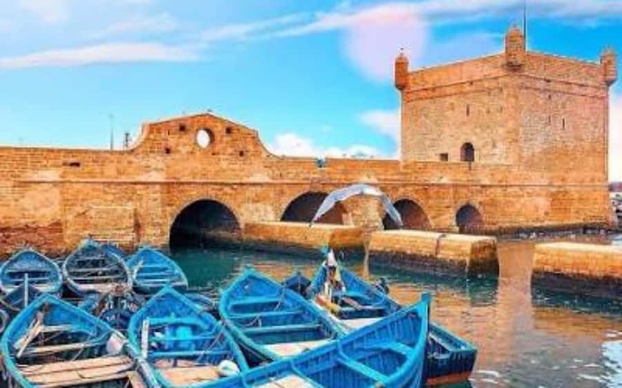 Marrakech: Day Trip to the Beautiful and Historic Essaouira - The 5:00 PM Return and Possible Delays