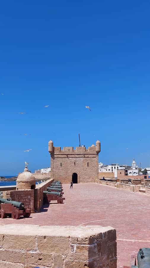Marrakech: Day Trip to the Beautiful and Historic Essaouira - What $15 Really Buys You