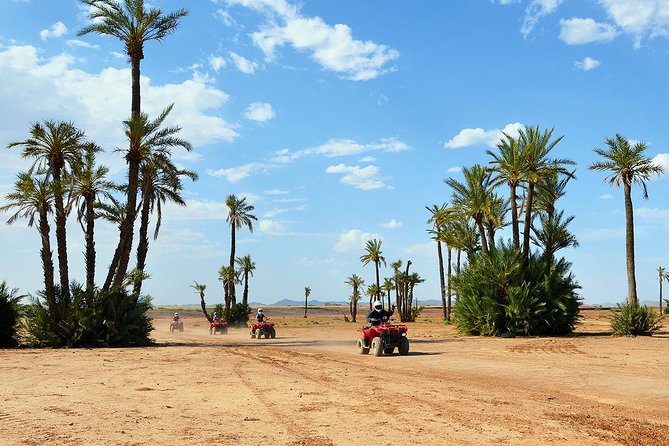 Marrakech Desert and Palm Grove Quad Bike Tour - Key points at a glance
