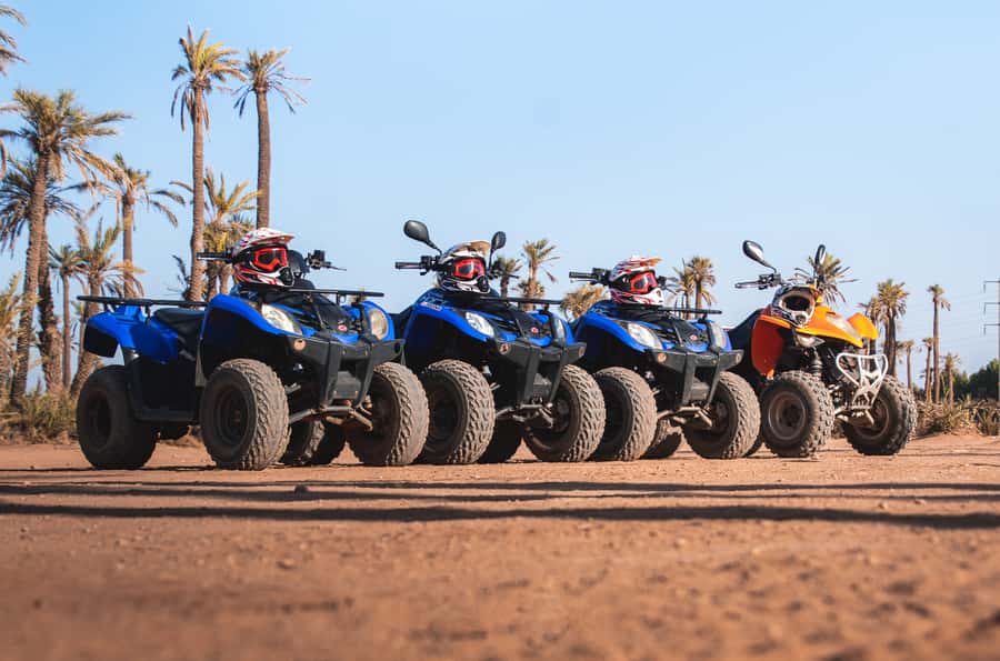 Marrakech: Desert and Palm Grove Quad Tour with Tea - A Photo Stop Among the Palms