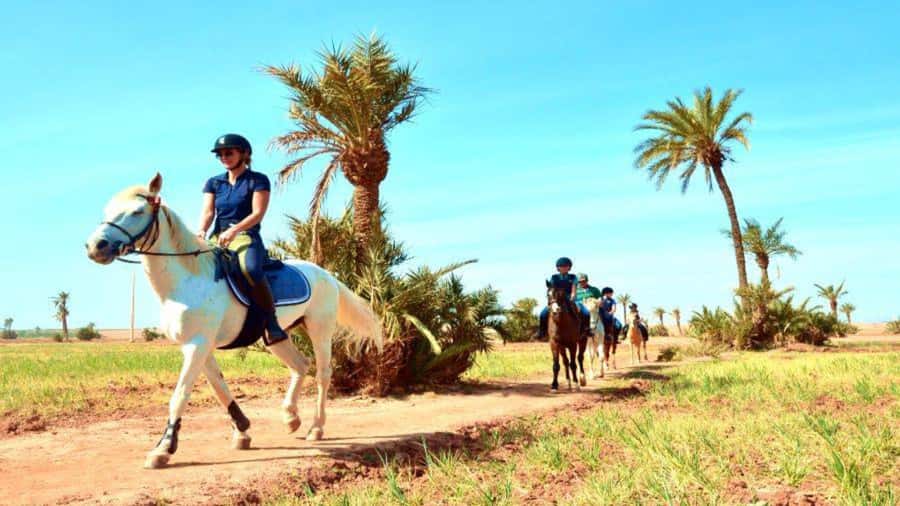 Marrakech: Desert and Palmeraie Horse Riding Tour & Transfer - Key points before you book
