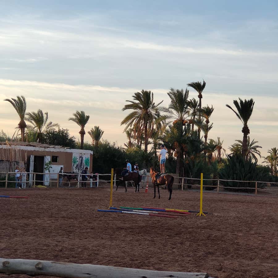 Marrakech: Desert and Palmeraie Horse Riding Tour & Transfer - Atlas Mountain views and the feel of open air