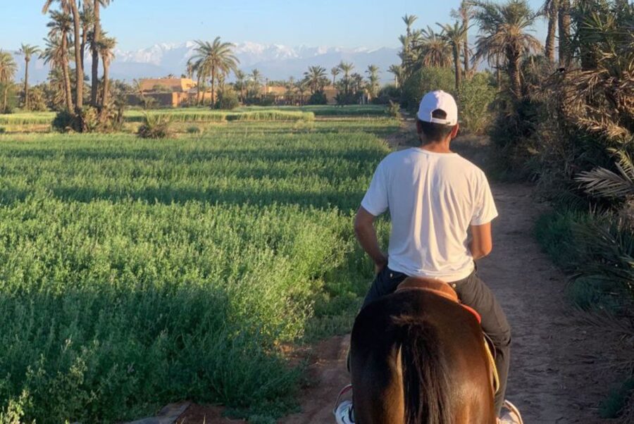 Marrakech: Desert and Palmeraie Horse Riding Tour & Transfer - What is included for $44
