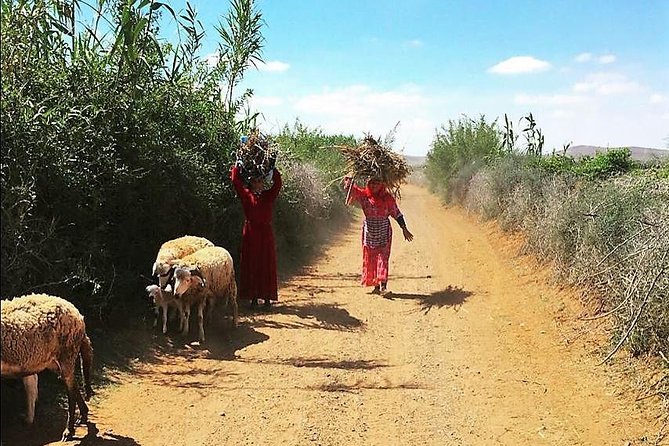 Marrakech Desert Buggy Tour Including Berber Tea Break and transfer - Two hours across Agafay’s rocky desert
