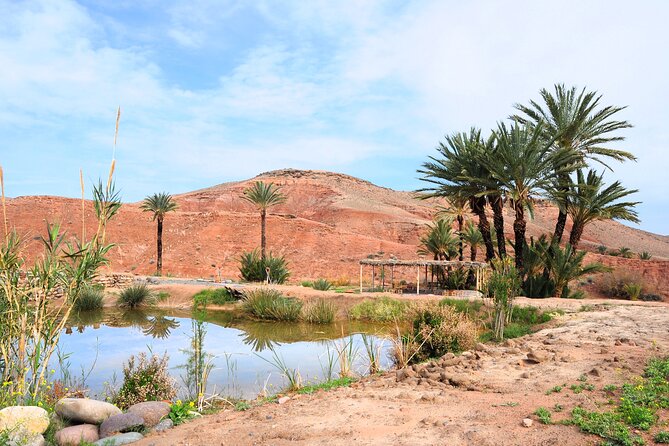 Marrakech Desert Buggy Tour Including Berber Tea Break and transfer - What the ride feels like for different abilities