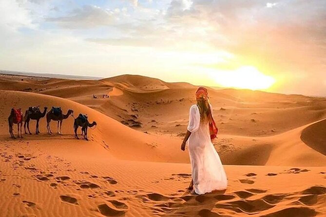 Marrakech Desert: Camel Ride, Quad Biking & Dinner Show Options - Moroccan tea and the sunset pause