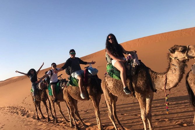 Marrakech Desert: Camel Ride, Quad Biking & Dinner Show Options - Dinner with tagine, couscous, and campfire music