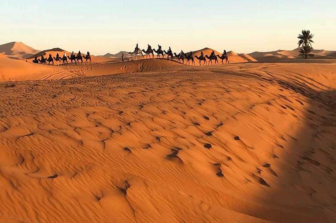 Marrakech Desert: Camel Ride, Quad Biking & Dinner Show Options - Is $52.14 good value?