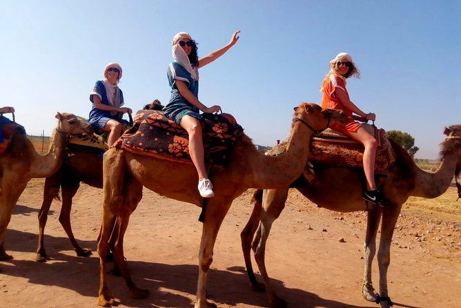 Marrakech Desert: Dinner Show with Quad Bike and Camel Ride - Dinner under stars, with music and dancing