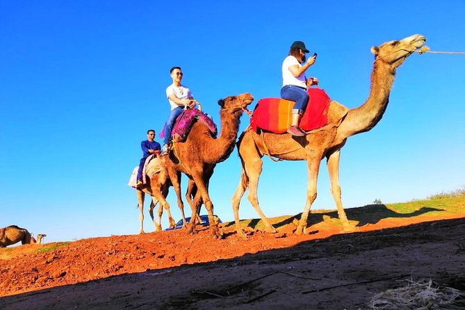 Marrakech Desert Dinner show with Quad bike at sunset - Key points at a glance