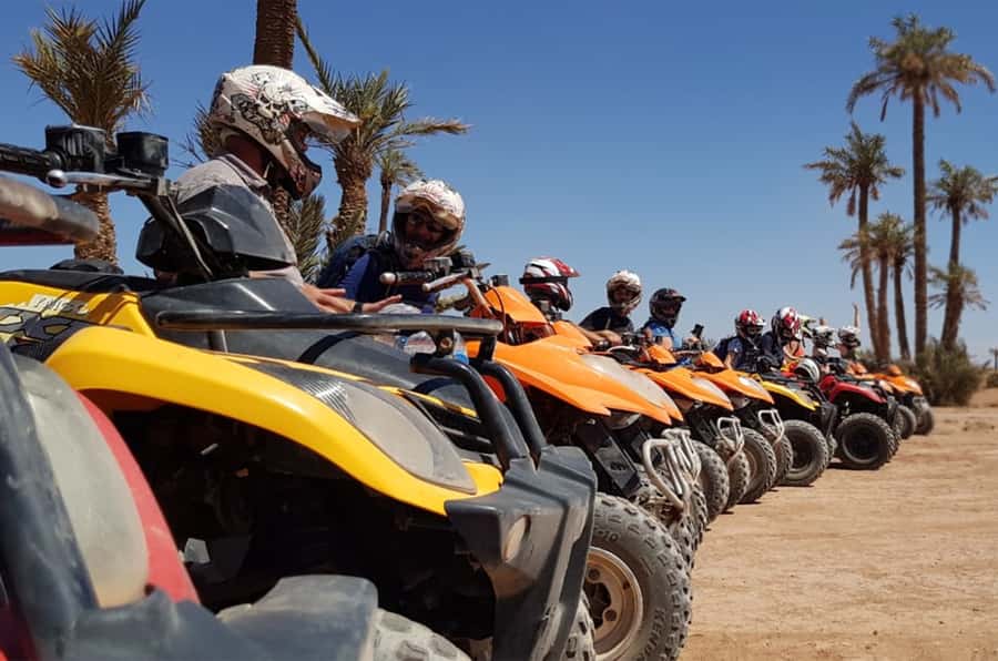 Marrakech Desert & Palm Grove Quad Bike Tour - Riding through palms, sand, and stony tracks