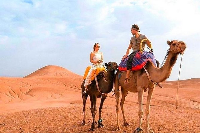 Marrakech Desert Quad and Camel ride, Lunch, and Poolside - What this Marrakech day trip is really offering