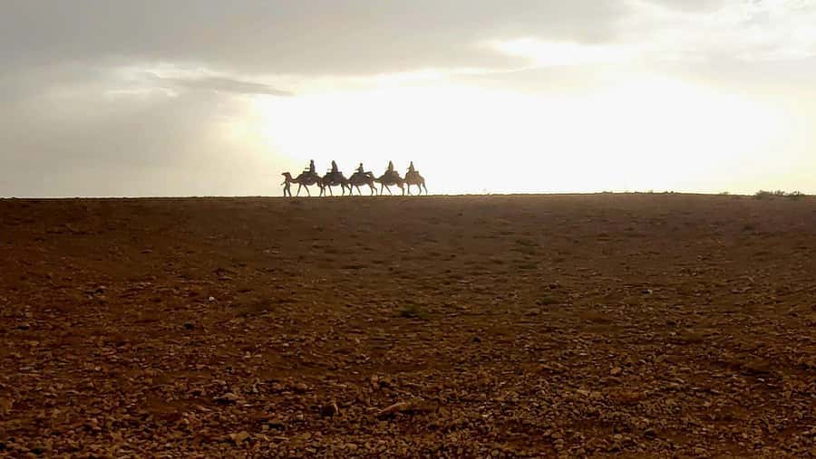 Marrakech: Desert Quad Bike Tour with Tea & Optional Dinner - Mint tea at camp and a short rest