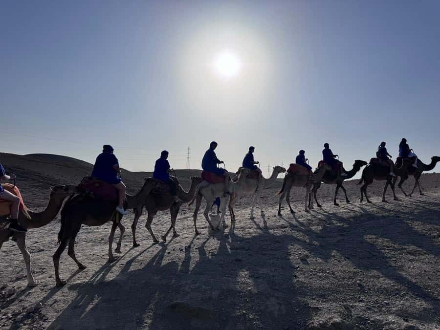 Marrakech: Desert Quad Bike Tour with Tea & Optional Dinner - The optional camel ride and what it adds