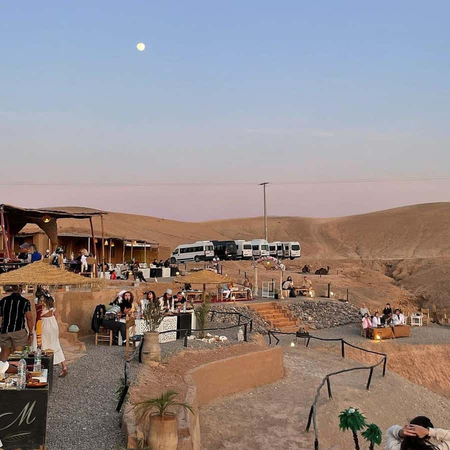 Marrakech: Desert Tour with Dinner, Show and Camel Ride - How the guides shape the experience