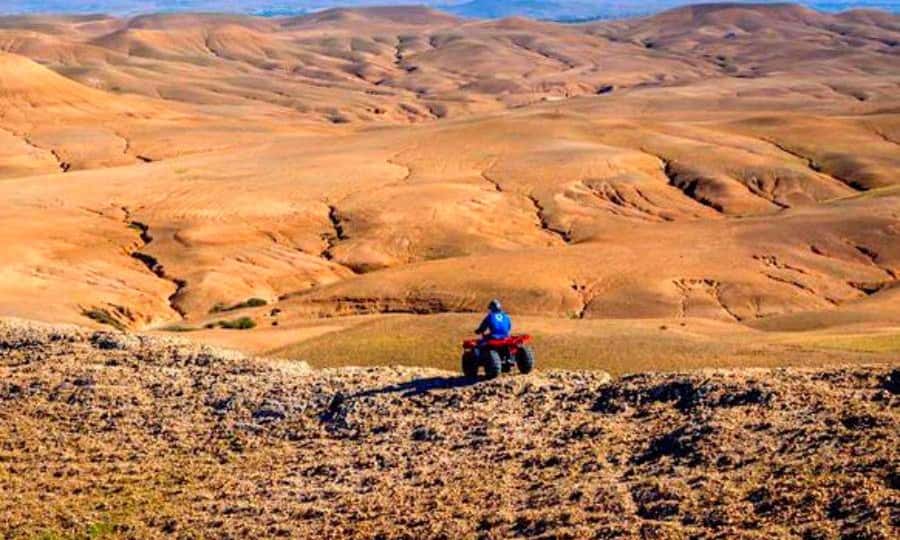 Marrakech: Dinner and Quad bike Desert Agafay Stars & show - Sunset dinner at the desert camp