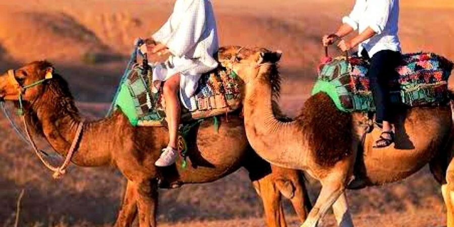 Marrakech: Dinner and Quad bike Desert Agafay Stars & show - What the four-hour schedule means for you