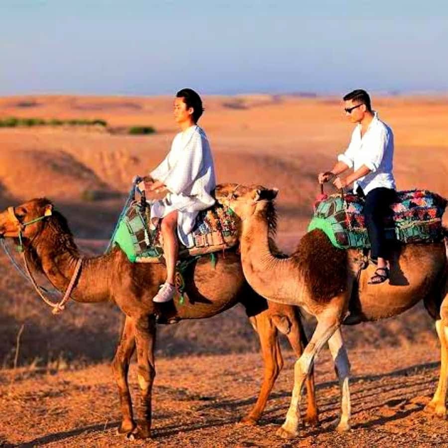 Marrakech: Dinner and Quad bike Desert Agafay Stars & show - Guides make the difference