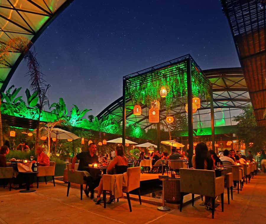 Marrakech : Dinner Show at Nouba Restaurant - Singers, dancers, and aerial acrobats