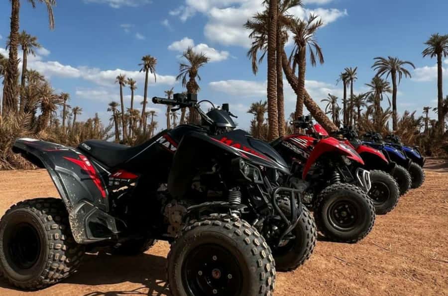 Marrakech: Dunes of the Palmeraie Quad Bike Ride with Tea - Communication tips that prevent pickup trouble