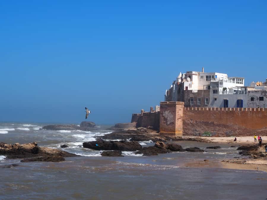 Marrakech: Essaouira Day Trip with Transfers and Co-op Visit - Key points to know before booking