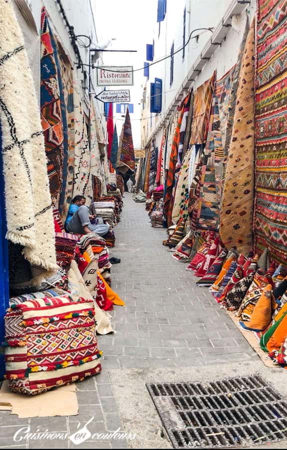 Marrakech: Essaouira Day Trip with Transfers and Co-op Visit - Argan trees, goats, and the women’s cooperative