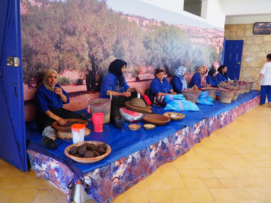 Marrakech: Essaouira Day Trip with Transfers and Co-op Visit - Arrival in Essaouira and four hours to use your way