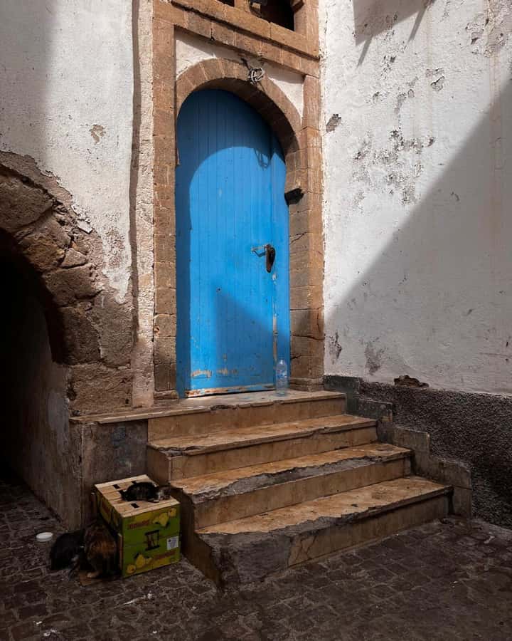 Marrakech: Essaouira Day Trip with Transfers and Co-op Visit - Food, shopping, and making the most of limited time