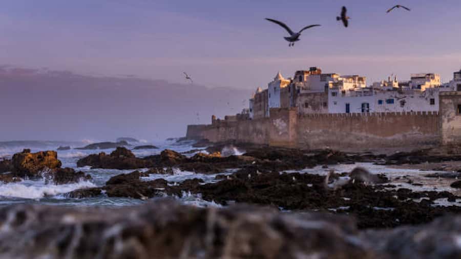 Marrakech: Essaouira Full-Day Trip - Key points before you book