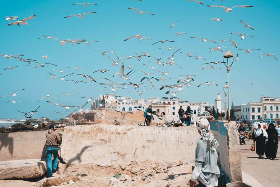 Marrakech: Essaouira Full-Day Trip - Souks, markets, and the jewelry quarter
