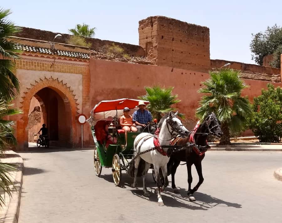 Marrakech Excursion Full Day Trip From Agadir - Who will enjoy this day trip most