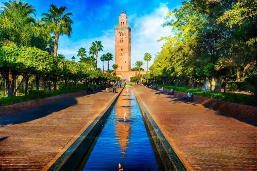 Marrakech Excursion Full Day Trip From Agadir - Bargaining through the souks