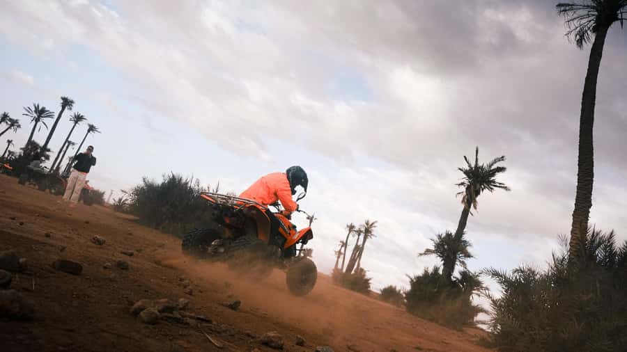Marrakech:excursion quad in Oasis palm & jbilat desert,tea - Riding through palms, sand, and Jbilat scenery
