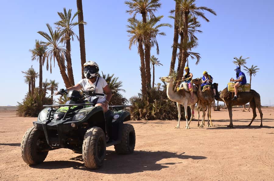 Marrakech:excursion quad in Oasis palm & jbilat desert,tea - The tea stop and Berber connection