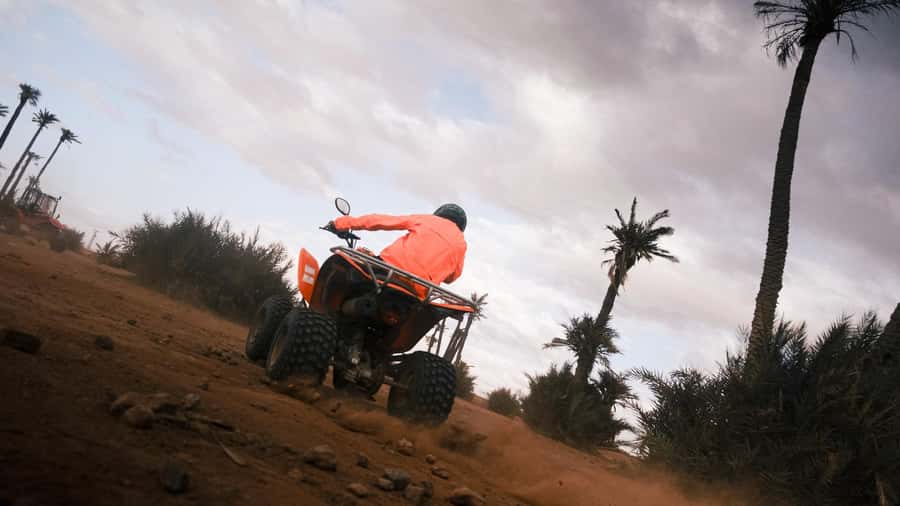 Marrakech:excursion quad in Oasis palm & jbilat desert,tea - How the guides shape the experience