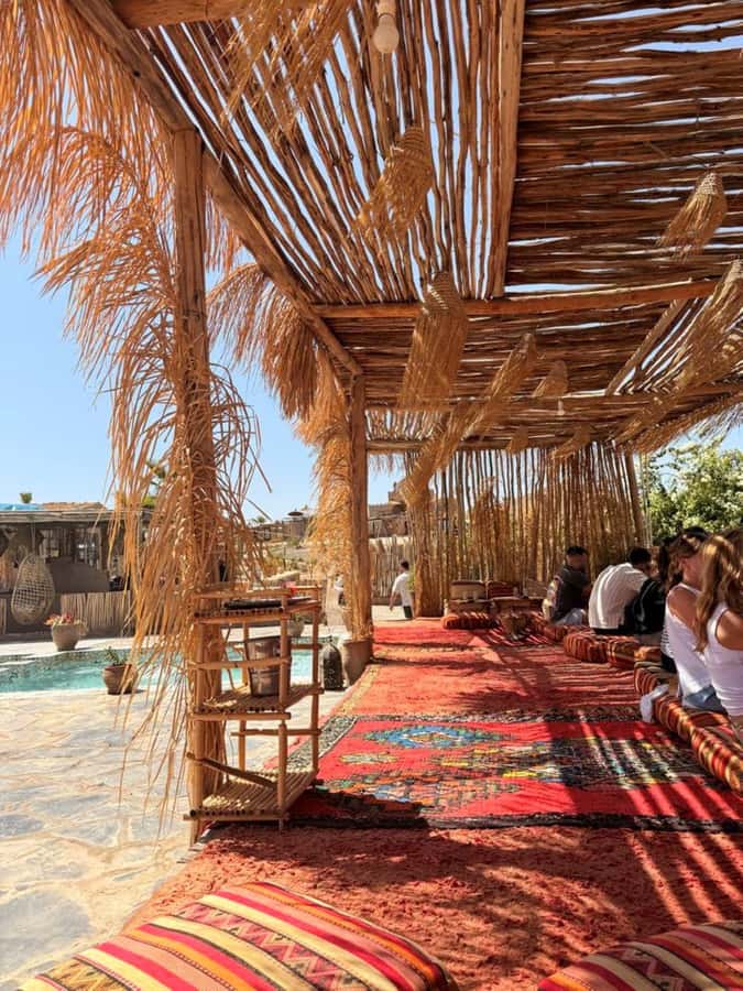 Marrakech: Full-Day Camel Ride, Quad Bike, & Spa Tour - A Berber village visit with tea and snacks