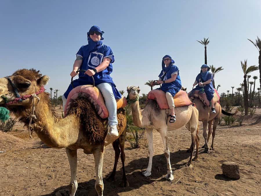 Marrakech Full-day excursion From Casablanca - The long road from Casablanca to Marrakech
