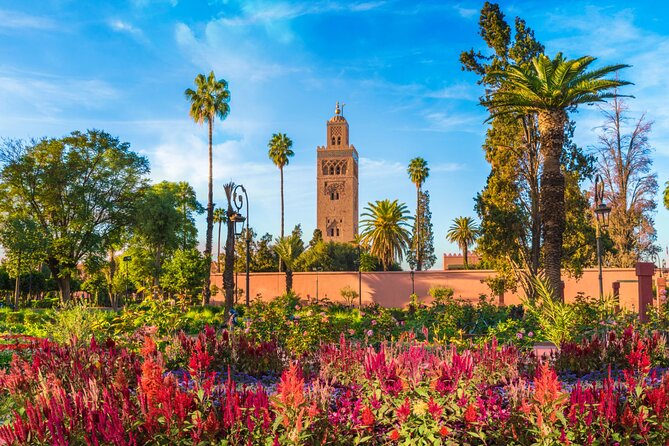 Marrakech Full Day Guided City Tour - Private Tour - Why a private day helps in Marrakech