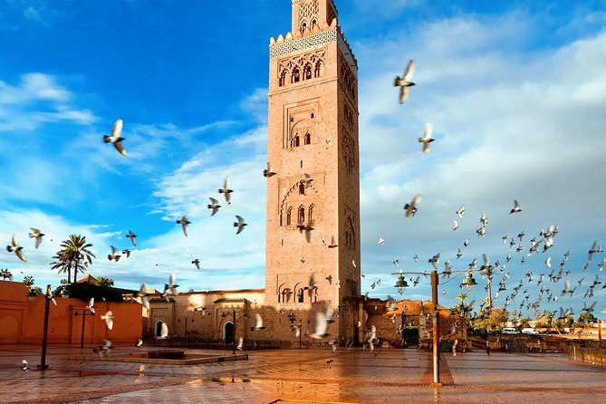 Marrakech Full Day Guided City Tour - Private Tour - Starting at Jemaa el-Fna