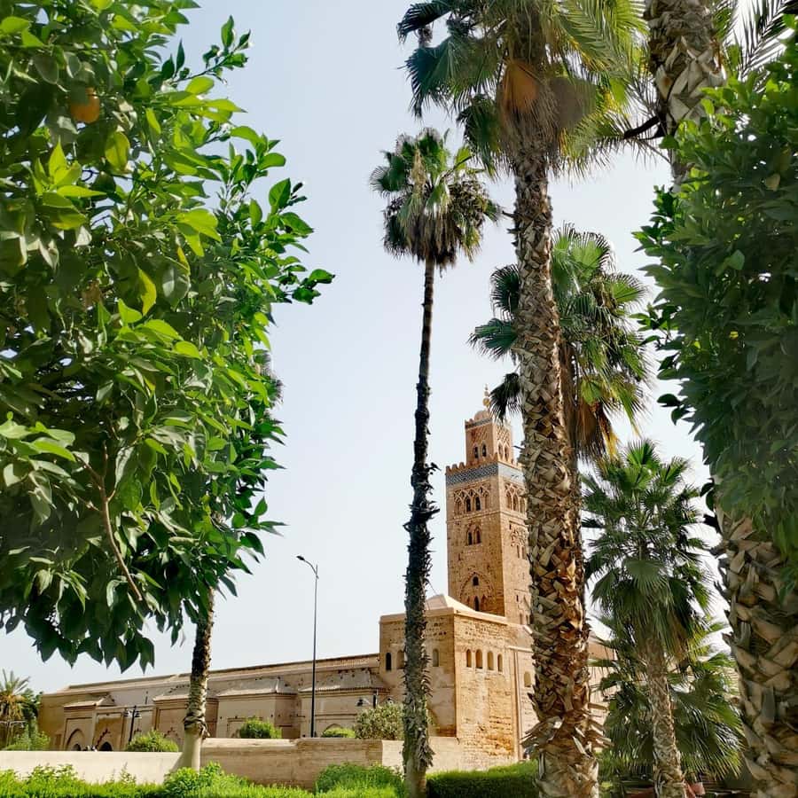 Marrakech: Guided Bike Tour with a local Guide - Jemaa el-Fnaa and the sounds of central Marrakech