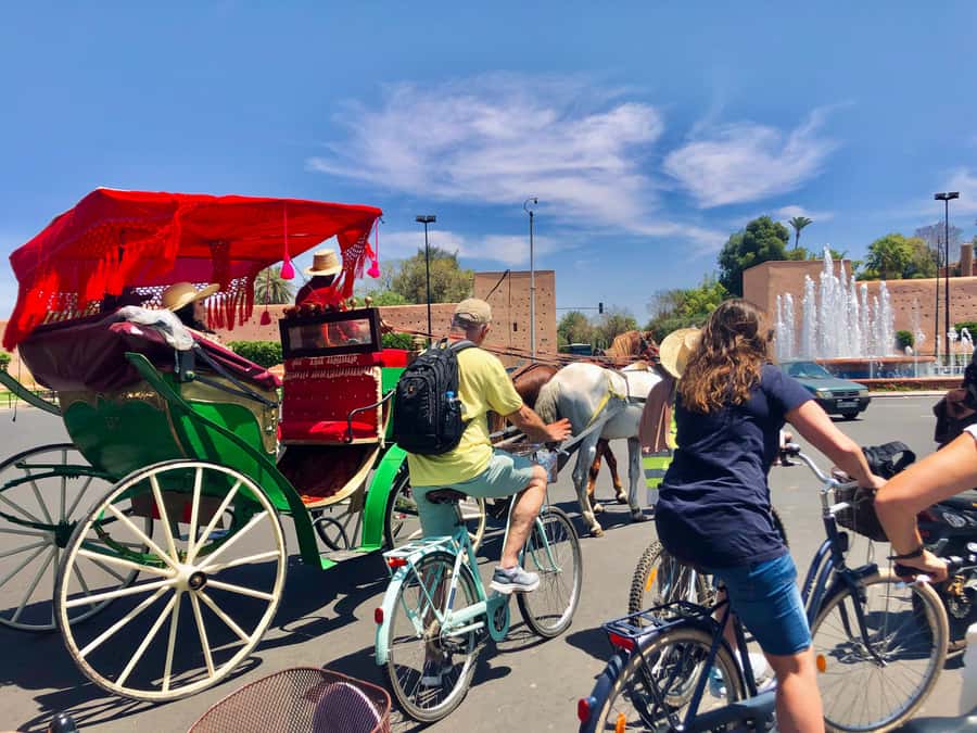 Marrakech:Guided City Cycling Tour - Culture, Colors & Charm - Safety, pace, and family suitability