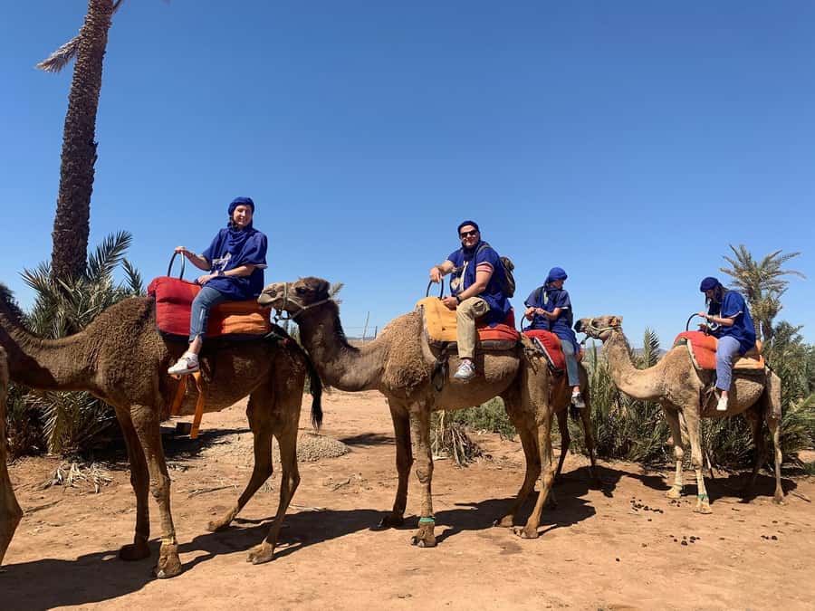 Marrakech: Guided Quad Bike and Camel Ride Tour with Tea - Key points to know before booking