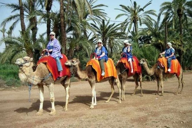 Marrakech: Half-Day Camel Ride in Palm Grove - Dressing for the ride in a jilbab and Saharan scarf