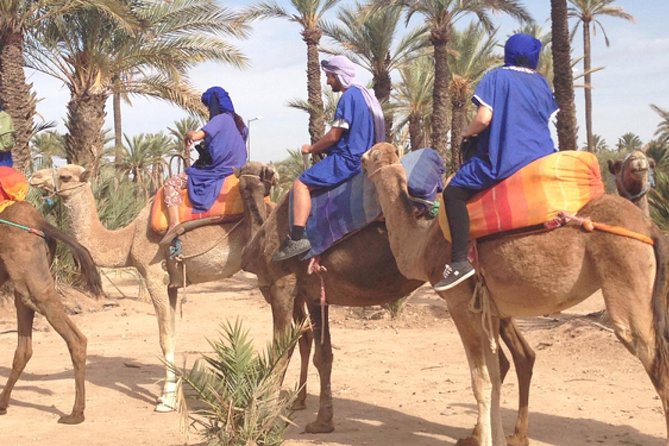 Marrakech: Half-Day Camel Ride in Palm Grove - Mounting a dromedary and settling into the rhythm