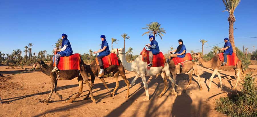 Marrakech: Half-Day Camel Ride in Palm Grove - Palm trees, homes, and Berber villages along the route