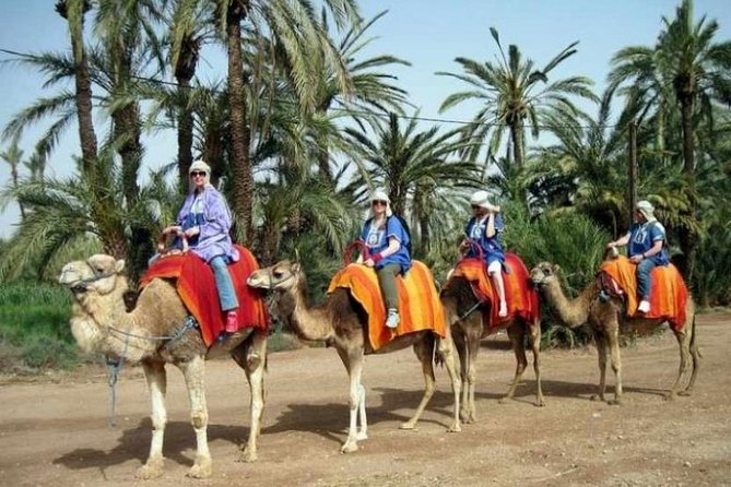 Marrakech: Half-Day Camel Ride in Palm Grove - The 30-minute pickup from Marrakech